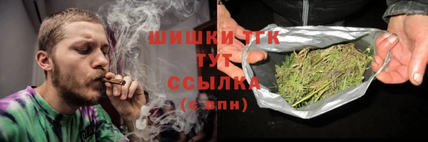 apvp Пестово