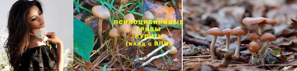 кокс Абинск
