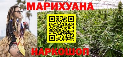 гашик Будённовск
