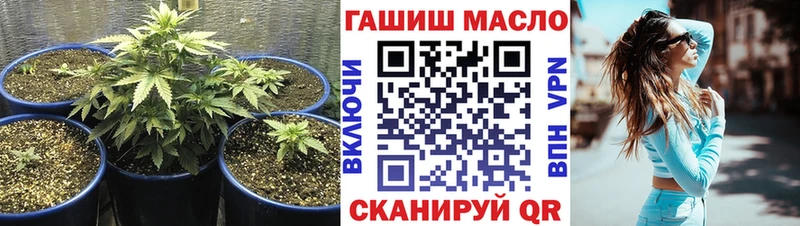 дарнет шоп  Кострома  ТГК вейп с тгк 