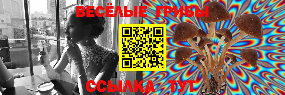 Кострома  Псилоцибиновые грибы Cubensis  Псилоцибиновые грибы Psilocybe  Вход с VPN 