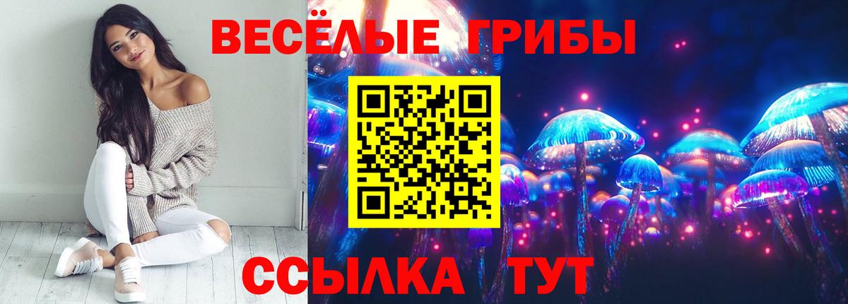 Галлюциногенные грибы Magic Shrooms Кострома